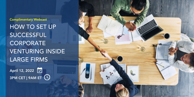 How To Set Up Successful Corporate Venturing Inside Large Firms